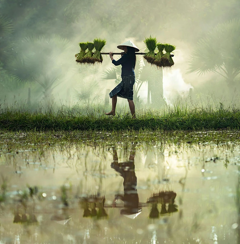 Ultrices sagittis orci a scelerisque purus semper eget duis at. Sollicitudin nibh sit amet.