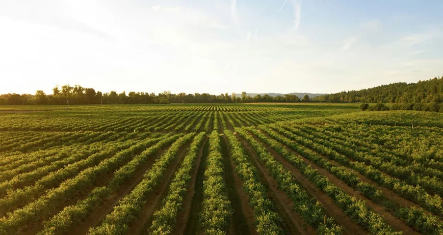 There are many variations of passages of Lorem Ipsum available, but majority have suffered teration in some form, by injected humour, or randomised words which don't look even slight believable. If you are going to use a passage of Lorem Ipsum.